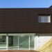 Фасадная панель из ДПК WOODVEX Венге купить в Борисоглебске