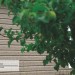 Сайдинг Ю-Пласт TIMBERBLOCK Пихта (Тимберблок) Cахалинская купить в Борисоглебске