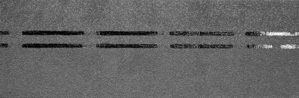 Коньково-карнизная черепица Docke Premium, черника купить в Борисоглебске