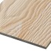 Фиброцементные панели FCSPRO Decor Wood Лиственница купить в Борисоглебске